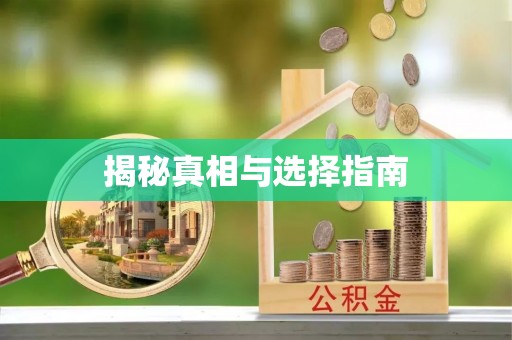 东莞揭秘真相与选择指南