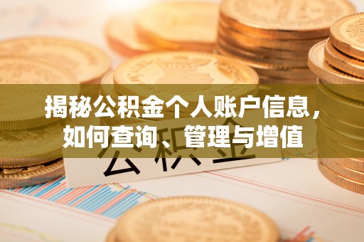 东莞揭秘公积金个人账户信息，如何查询、管理与增值