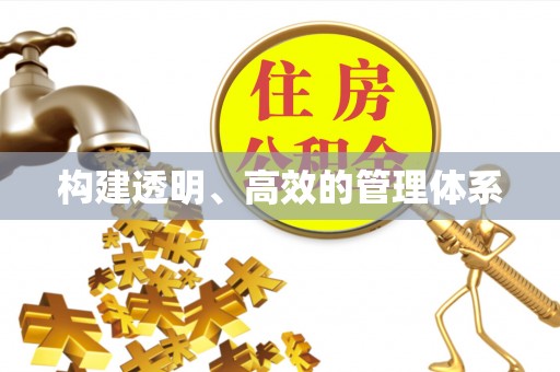 东莞构建透明、高效的管理体系