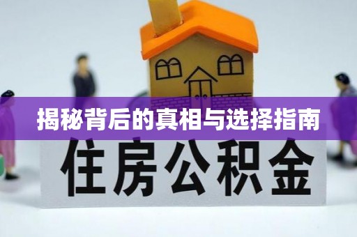 东莞揭秘背后的真相与选择指南