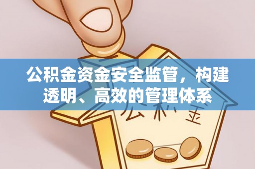 东莞公积金资金安全监管，构建透明、高效的管理体系