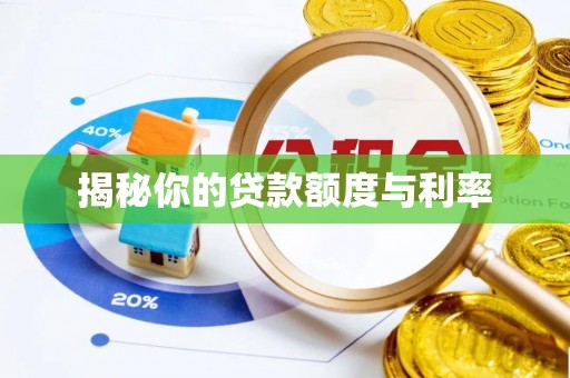 东莞揭秘你的贷款额度与利率