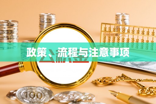 东莞政策、流程与注意事项