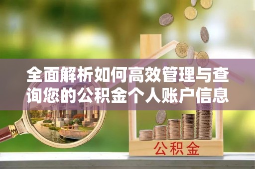 东莞全面解析如何高效管理与查询您的公积金个人账户信息