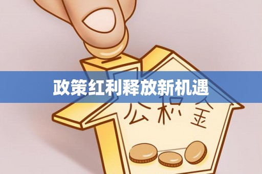 东莞政策红利释放新机遇