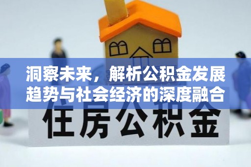 东莞洞察未来，解析公积金发展趋势与社会经济的深度融合