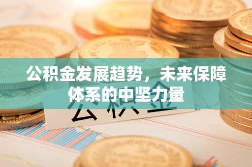 东莞公积金发展趋势，未来保障体系的中坚力量
