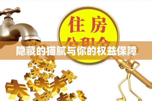 东莞隐藏的猫腻与你的权益保障