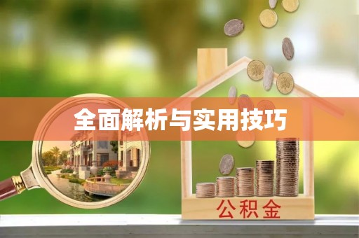 东莞全面解析与实用技巧