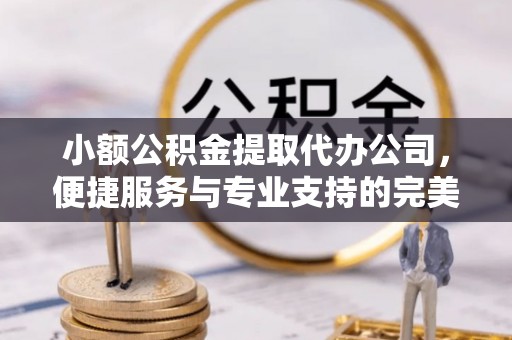 东莞小额公积金提取代办公司，便捷服务与专业支持的完美结合