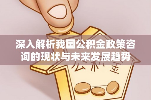 东莞深入解析我国公积金政策咨询的现状与未来发展趋势