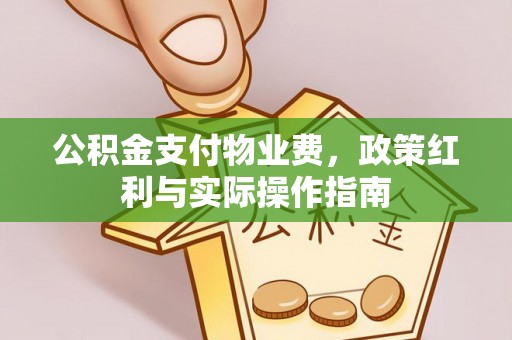 东莞公积金支付物业费，政策红利与实际操作指南