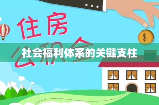 东莞社会福利体系的关键支柱