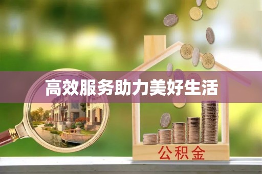 东莞高效服务助力美好生活