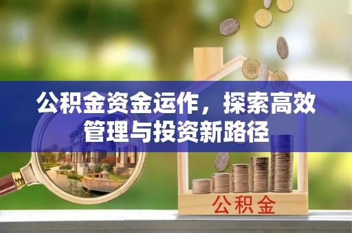 东莞公积金资金运作，探索高效管理与投资新路径
