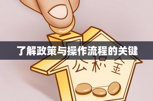 东莞了解政策与操作流程的关键