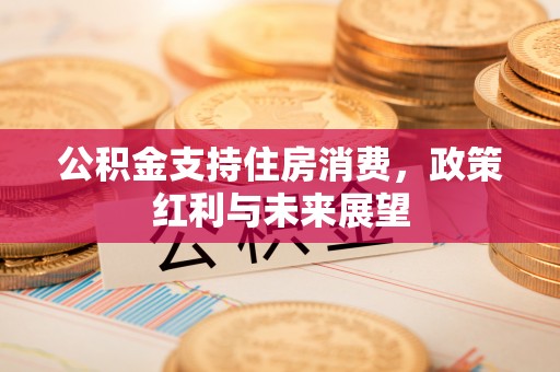 东莞公积金支持住房消费，政策红利与未来展望