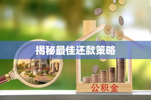 东莞揭秘最佳还款策略