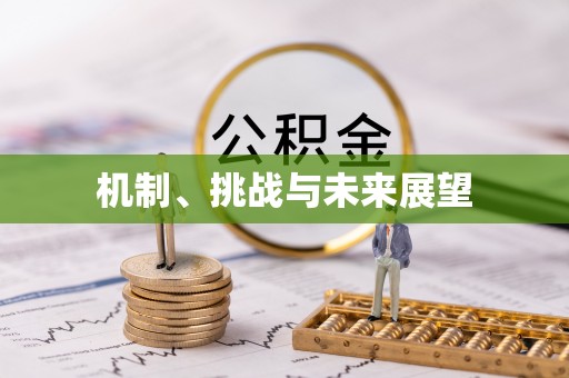 东莞机制、挑战与未来展望