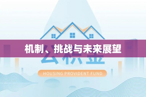 东莞机制、挑战与未来展望